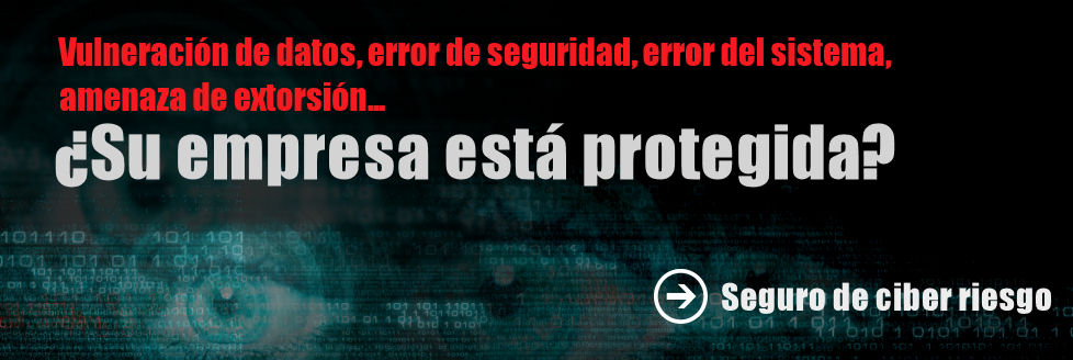 Seguro de ciber riesgo
